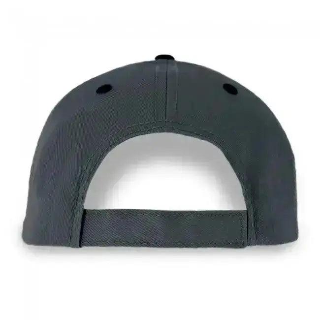 C4 heritage hat Gray - Team Lingenfelter